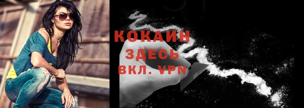 стаф Баксан