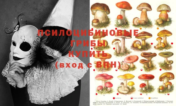 эйфоретик Балахна