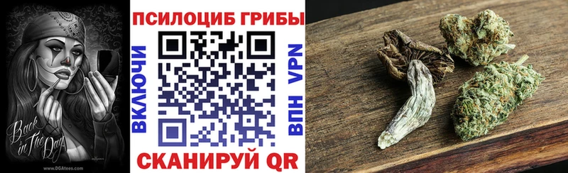 Галлюциногенные грибы MAGIC MUSHROOMS  сайты даркнета Telegram  Грайворон 